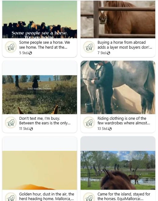 EquiMallorca on Facebook